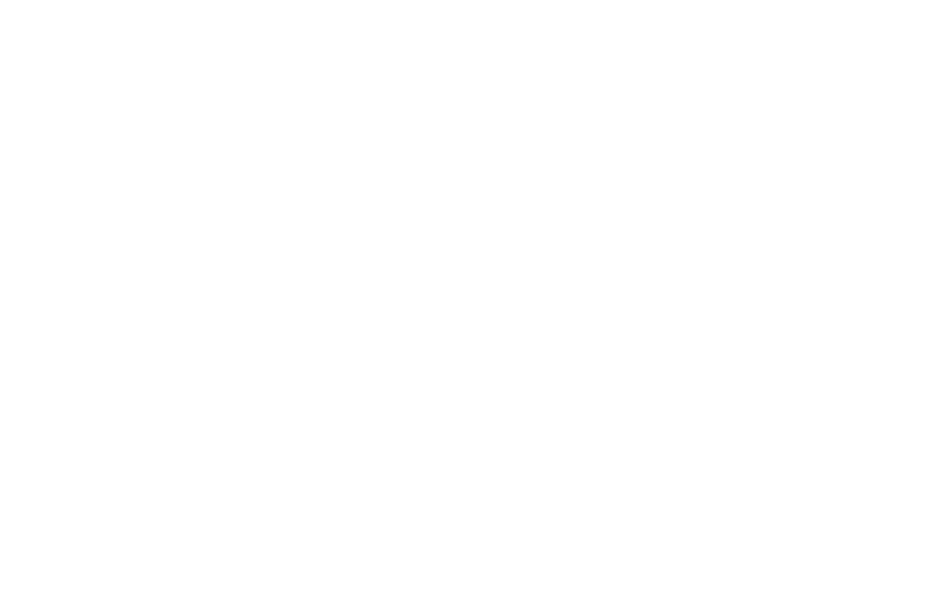 Zynston